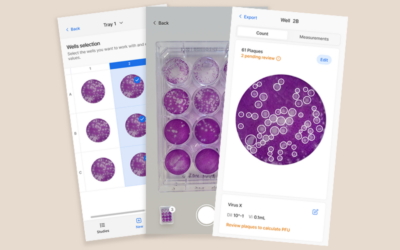 Turning Manual Work into Scalable Innovation: How Arionkoder and Pasteur Are Co-Creating the Future of Virus Research